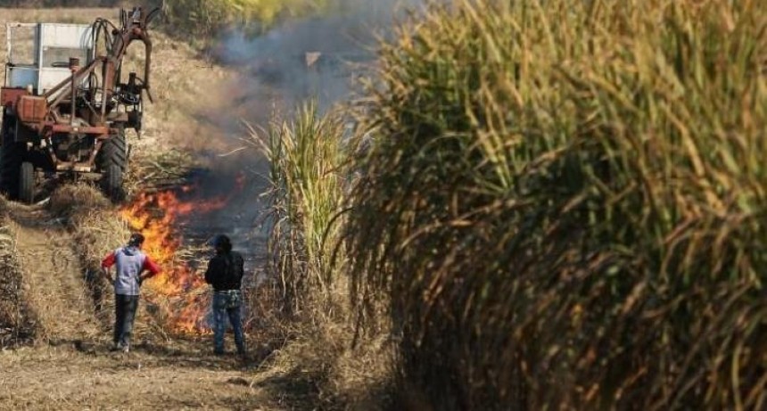 La Provincia fortalece la prevenci&oacute;n de la quema de ca&ntilde;averales y asistir&aacute; a peque&ntilde;os productores