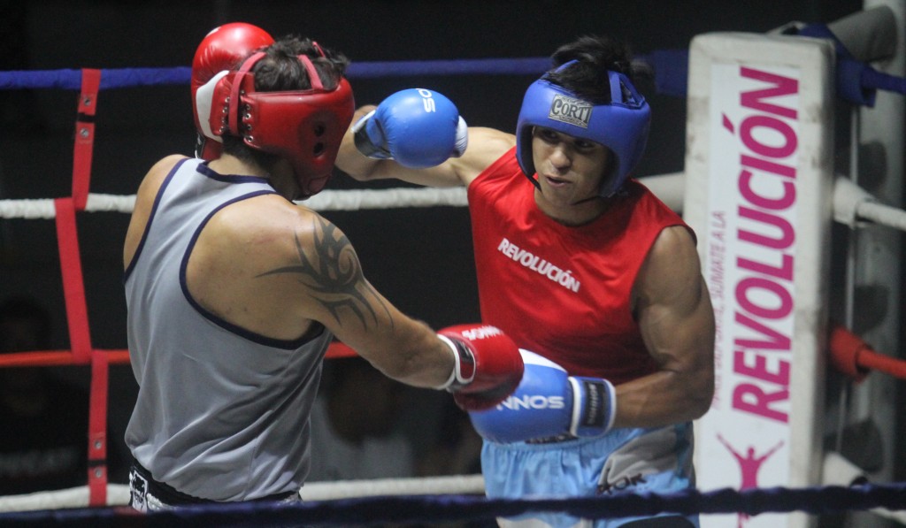 &iquest;El boxeo deber&iacute;a dejar de practicarse?