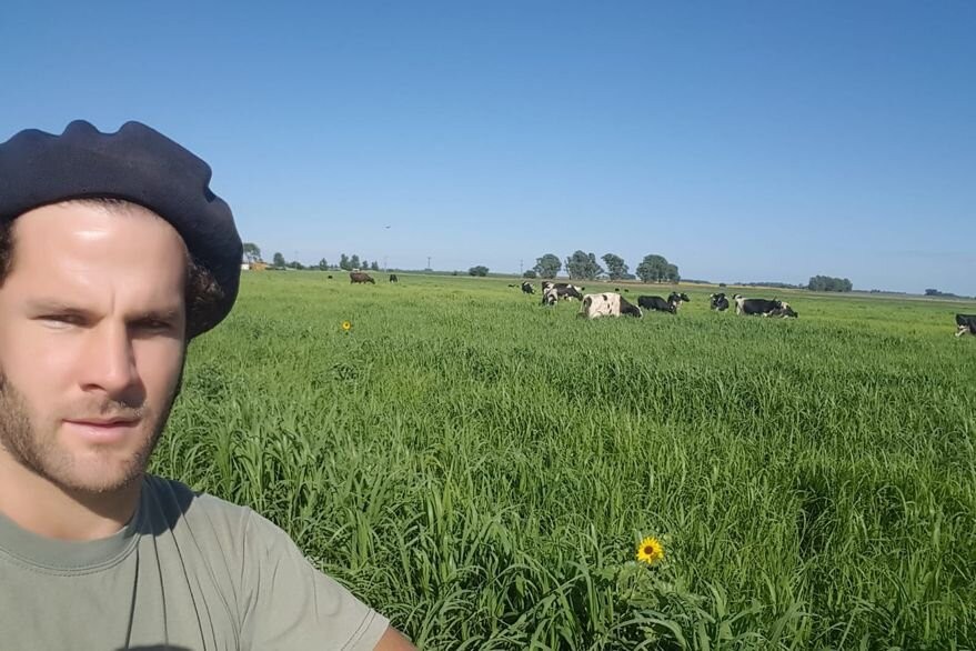 Un tambero explic&oacute; c&oacute;mo es el manejo de las vacas lecheras, esto fue tras los dichos de Mar&iacute;a Becerra