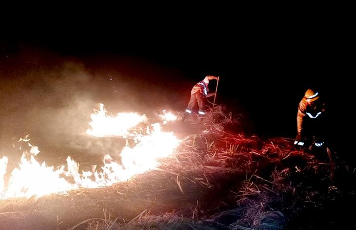 Llaman a denunciar la quema de pastizales