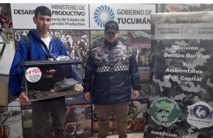 Frustraron la venta ilegal de un reptil en peligro de extinción
