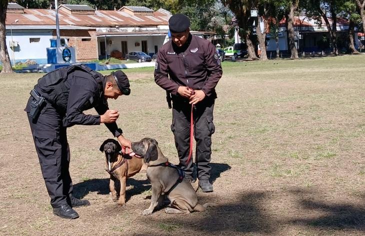 DAAP: la división canes sumó dos perros más