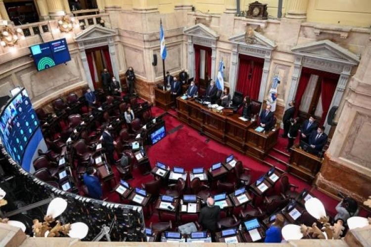 El Senado dictamina la emergencia pediátrica y financiamiento universitario