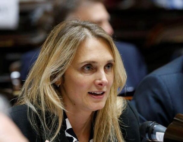 Diputada radical anticipó su voto sobre dos vetos clave