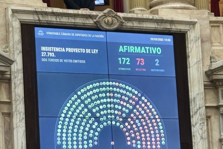 Nuevo revés para Milei: diputados rechazó el veto a la Emergencia en Discapacidad