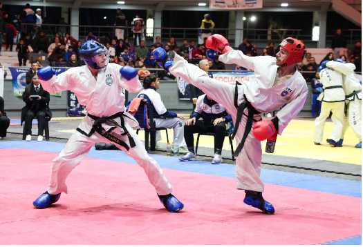 El Mundial de Taekwon-do se vivio en el Palacio de los Deportes 