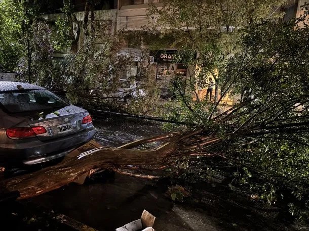 Los meteorólogo anuncian que la tormenta de Santa Rosa vendrá con ciclogénesis