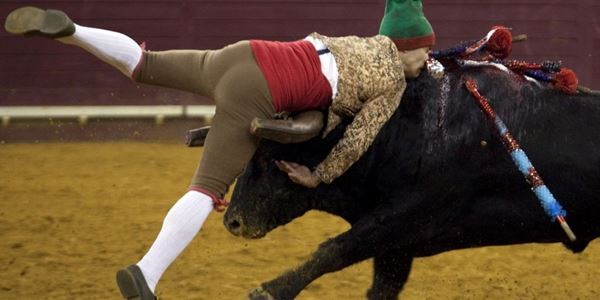 Un Torero fue embestido por un toro de 700 kilos: el tremendo video