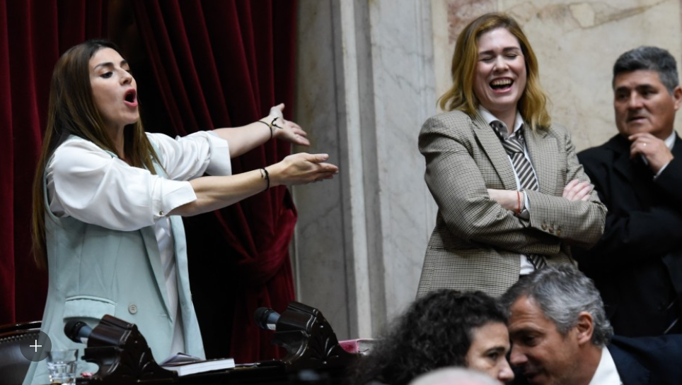 Lilia Lemoine y Marcela Pagano se cruzaron en Diputados
