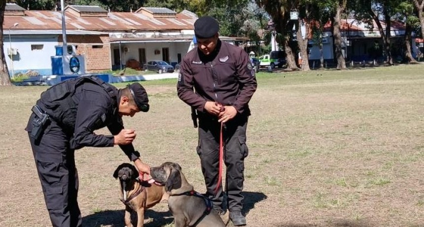 DAAP: la división canes sumó dos perros que serán empleados en tareas de seguridad