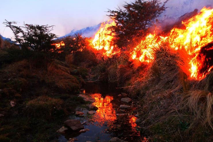 C&oacute;rdoba: m&aacute;s de 350 personas combaten el arrasador avance del fuego en el Valle de Punilla