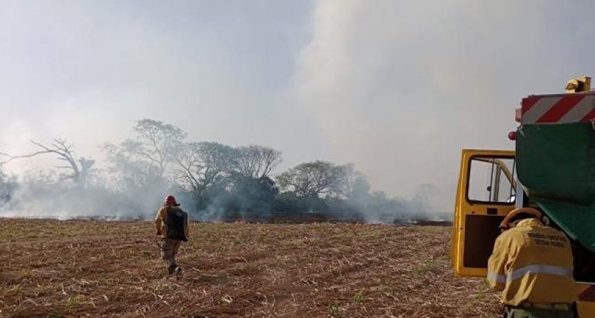 Personal de Defensa Civil combatió incendio de rastrojos de caña