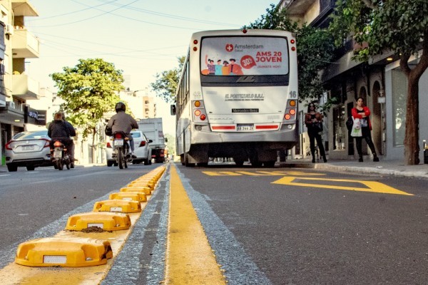 Viola sobre el transporte: "El Municipio no está para otorgar subsidios a las empresas, sino para brindar servicios a los vecinos"