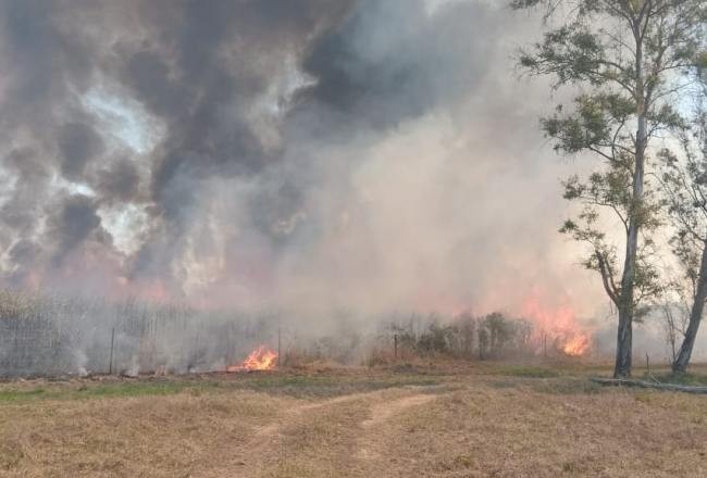 Sofocan un incendio cerca de la estación transformadora de El Bracho