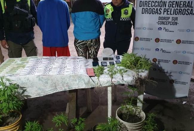 Narcomenudeo: detienen a cuatro personas por comercialización de drogas