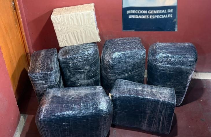 Operativo Lapacho: descubrieron 100 kilos de hojas de coca contrabandeada