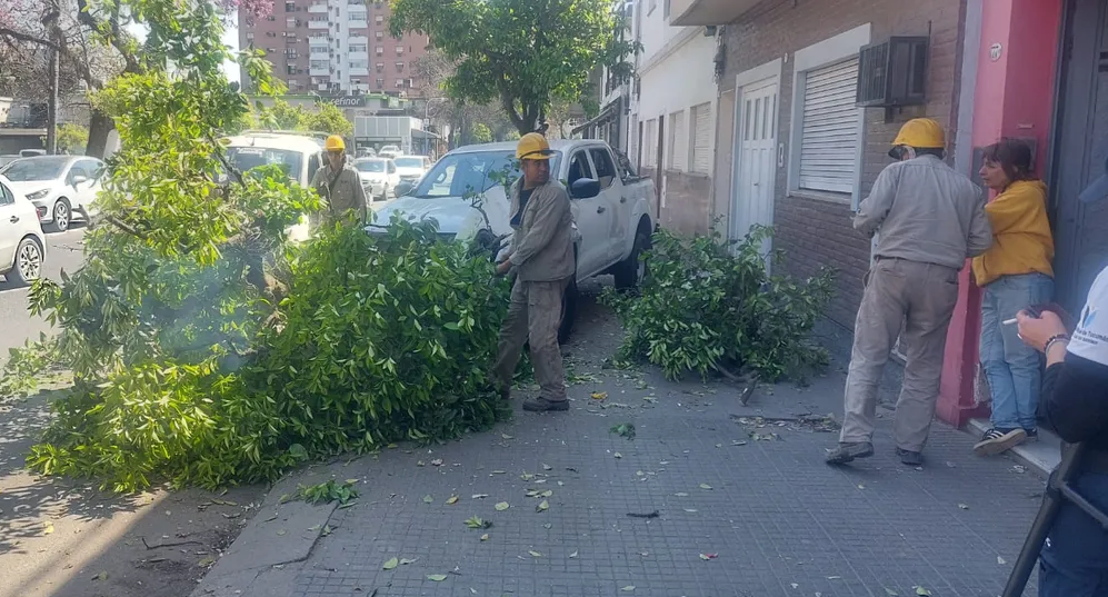 Una camioneta, conducida por menores, impactó contra un árbol: "Fue un milagro"