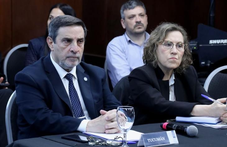 Medina Ruiz participó de la reunión del Consejo Federal de Salud