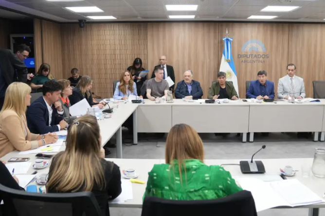 Diputados reclaman al Gobierno que se restituyan las pensiones por invalidez dadas de baja