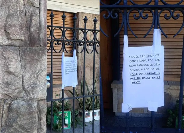 Una mujer fue amenazada de muerte por alimentar a los animales de la calle 