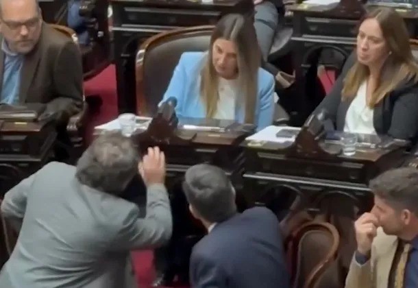 Violencia en el Pro  Cristian Ritondo agredió a los gritos a Silvia Lospennato por votar en contra de Milei