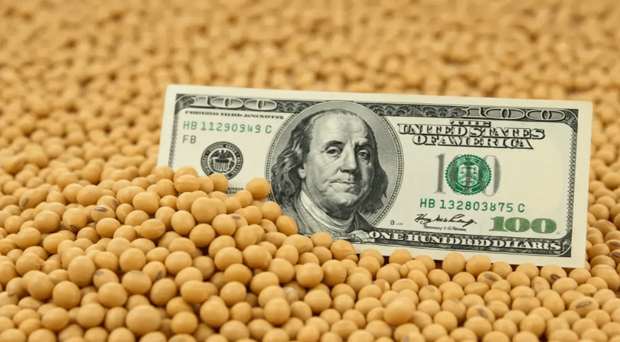 Para sostener el dólar, habrá retenciones cero granos, carne bovinas y avícolas hasta fines de octubre