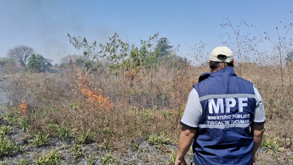 Importante incendio de caña y pastizales avanzó sobre propiedades y generó alarma en Los Vallistos