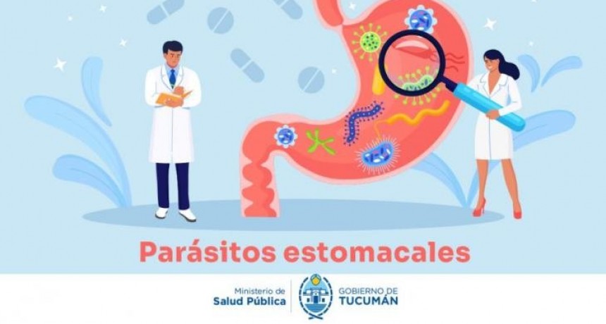 Parasitosis Intestinales: Detección, Transmisión y Sintomatología