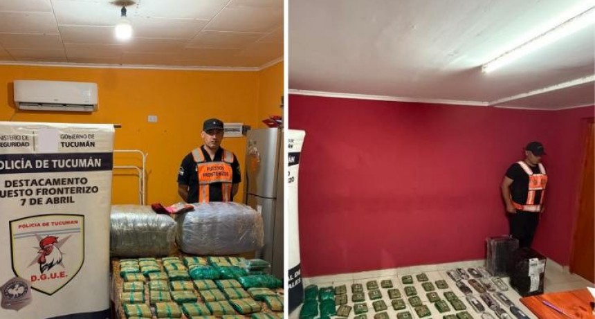 Incautan 90 kilos de hojas de coca en diferentes controles fronterizos