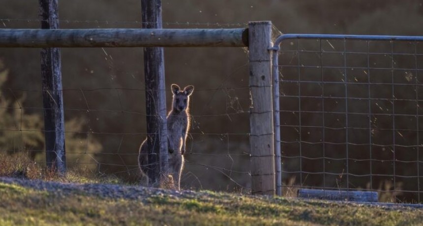 Alertan que Australia está en riesgo por la crecida del mar
