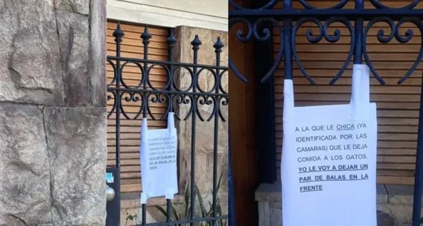Una mujer fue amenazada de muerte por alimentar a los animales de la calle 