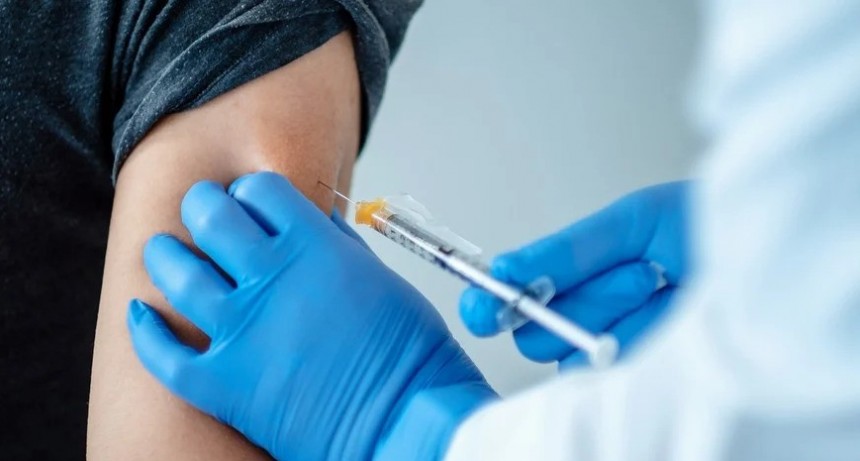 COVID: Pfizer admite riesgo bajo de miocarditis después de haberse colocado la vacuna 