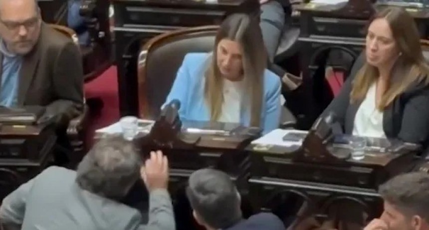 Violencia en el Pro: Cristian Ritondo agredió a los gritos a Silvia Lospennato por votar en contra de Milei