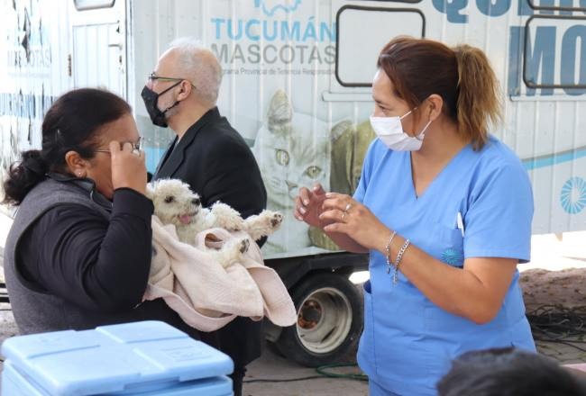 Durante esta gestión Tucumán Mascotas realizó 17 mil castraciones