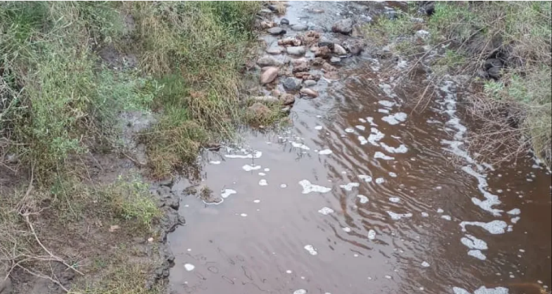 Detectan fenoles en el canal interprovincial del Este o Virginia