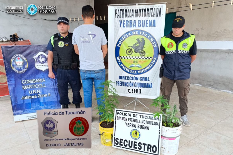 Lo aprehendieron por golpear a una mujer y por tener plantas de marihuana