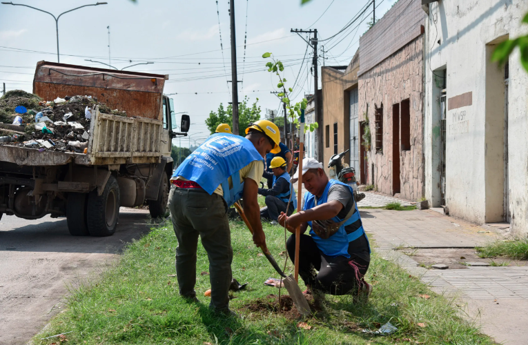 Reforestan la avenida Martín Berho, levantan basurales y podan árboles en Villa 9 de Julio