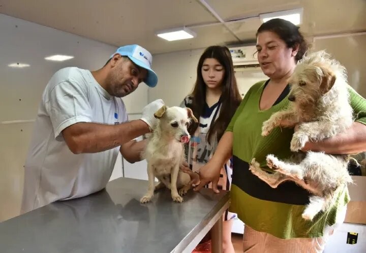 El programa “Un vete en tu barrio” brindará atención gratuita para mascotas en el CAC 9