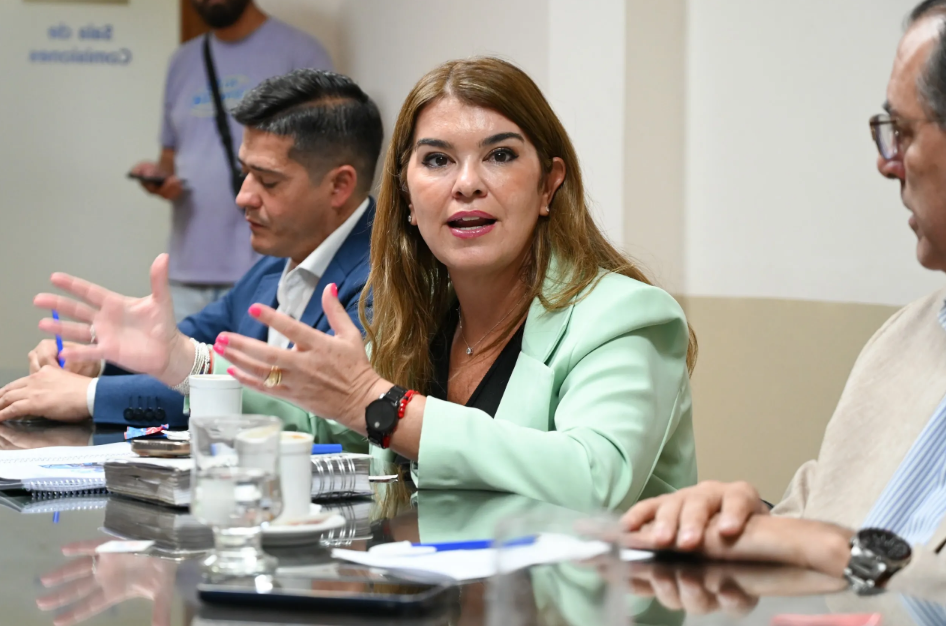 El Ejecutivo Municipal presentó un nuevo informe de la gestión ambiental ante el Concejo Deliberante