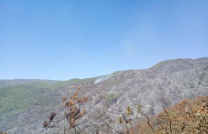 Intensas tareas para controlar el incendio en el cerro Kiko