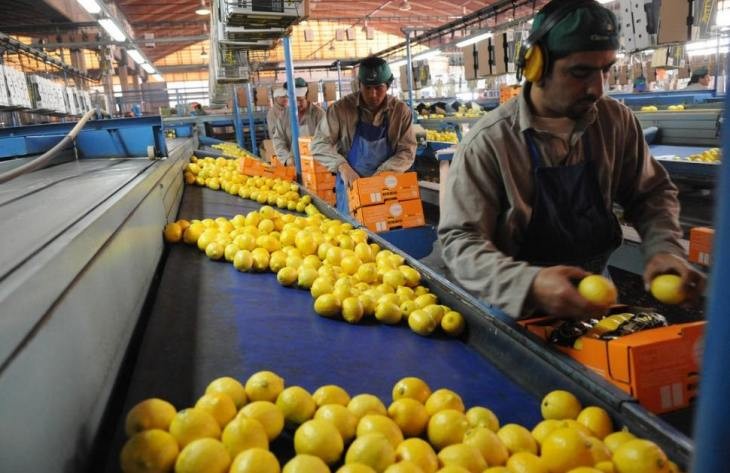 Tucumán sigue generando trabajo, incluso en tiempos difíciles