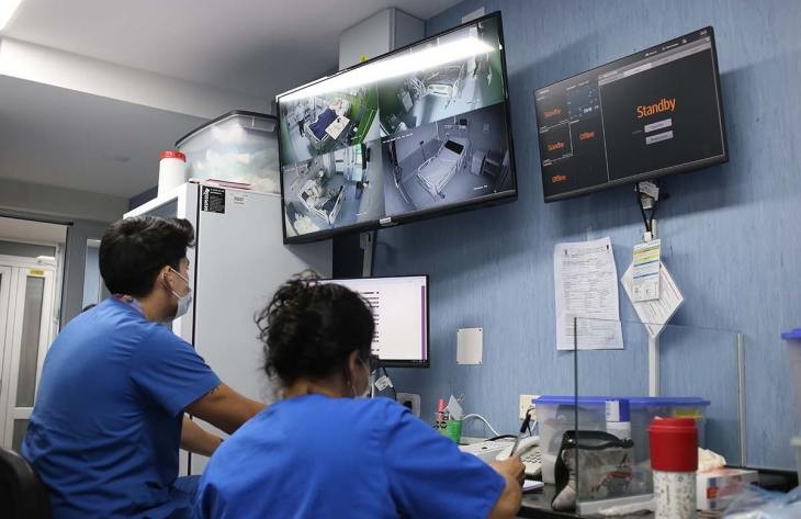 Cuatro pacientes que recibieron trasplantes recibieron el alta institucional