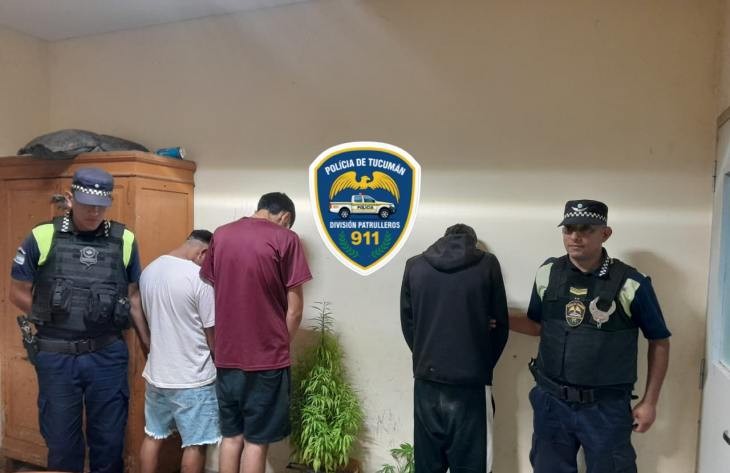 Aprehenden a tres jóvenes y secuestran 13 plantines de marihuana