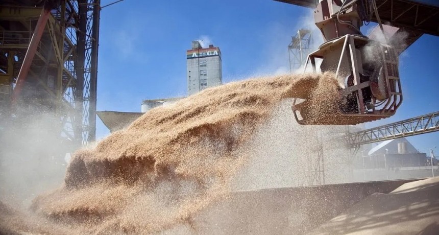 Récord histórico: el agro liquidó US$ 7.100 millones en septiembre