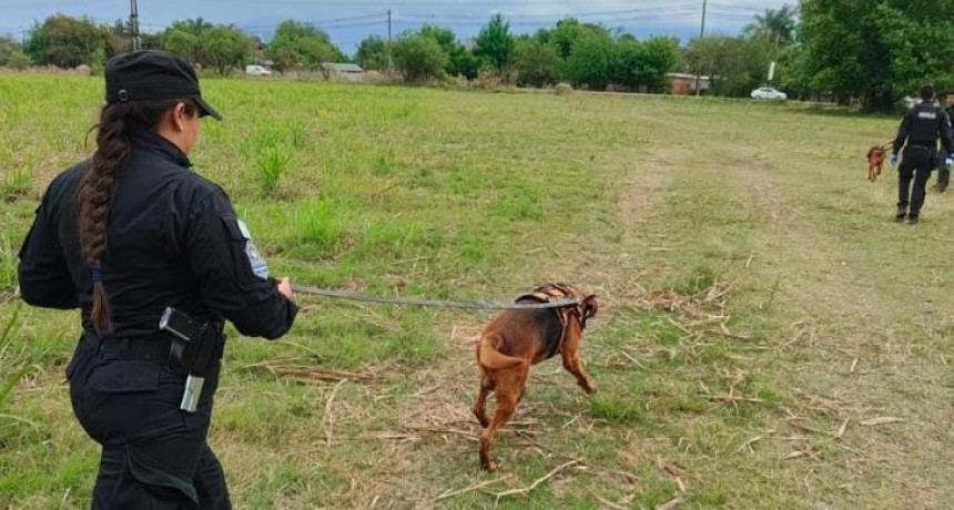 Dos canes de la Policía de Tucumán hallaron a una mujer desaparecida en Lules