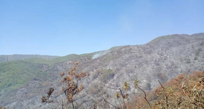 Intensas tareas para controlar el incendio en el cerro Kiko