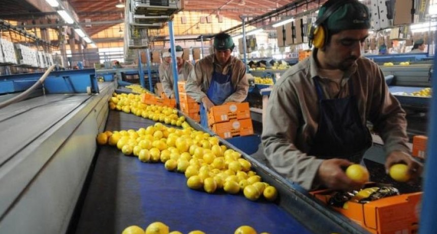 Tucumán sigue generando trabajo, incluso en tiempos difíciles