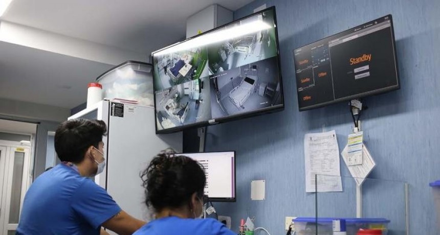 Cuatro pacientes que recibieron trasplantes recibieron el alta institucional