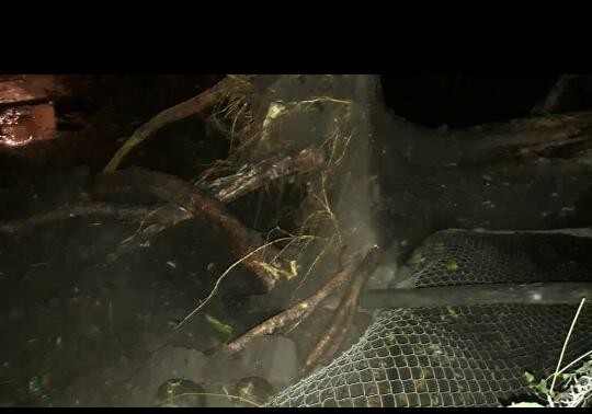 Familias afectadas por la tormentas son asistidas por el Estado