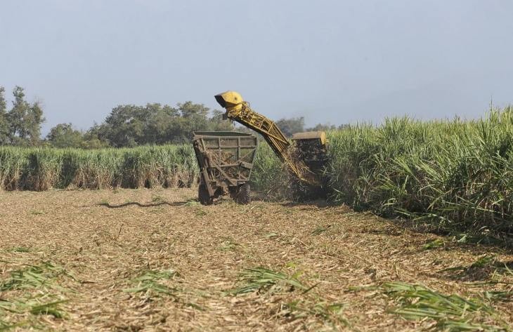 Industriales, cañeros y trabajadores coincidieron en la productiva zafra 2024